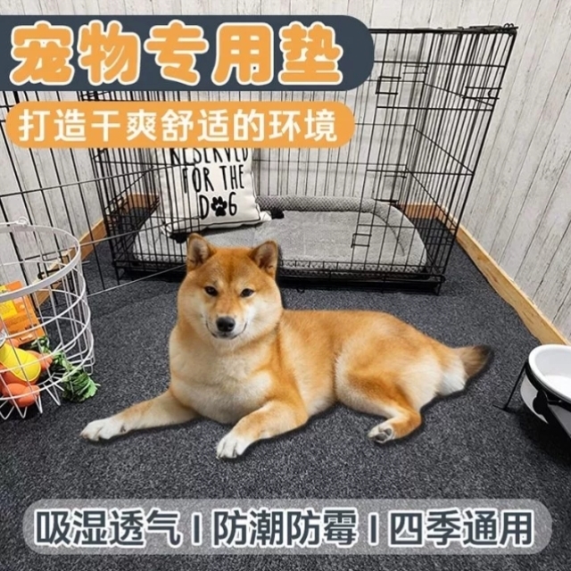 加厚宠物垫子猫咪狗狗四季通用隔凉防潮防滑地垫狗笼子围栏垫板冬