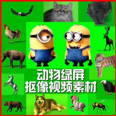 动物绿屏视频素材狮子老虎羊狗大象恐龙马猪绿幕抠像影视后期素材
