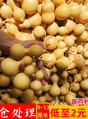 天然野生小白皮亚腰葫芦挂件吊顶装饰烙画练手工木胡葫芦摆件批发