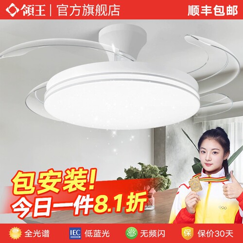 领王满天星空风扇灯吸顶隐形吊灯