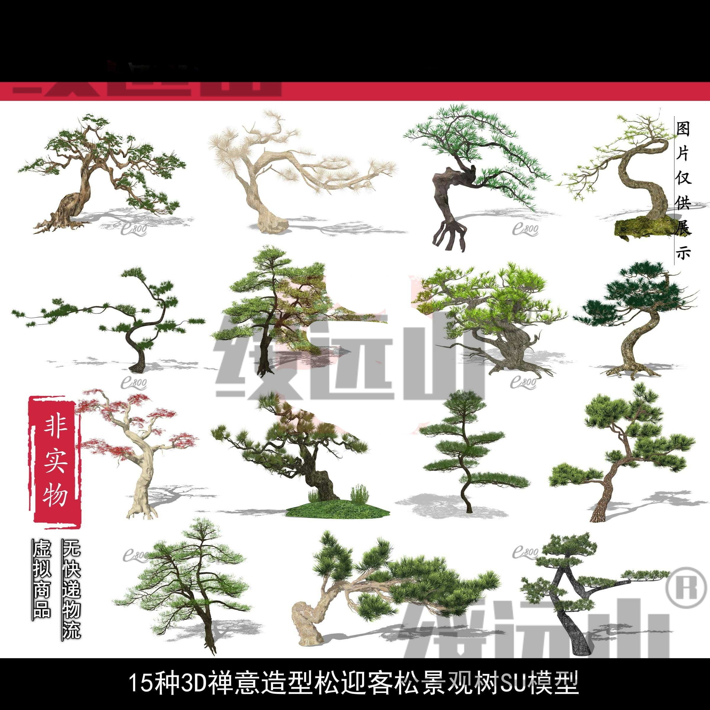 景观园林SU精选15种3d禅意景观松树迎客松造型松精细模型