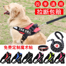 绳子狗链狗绳 狗狗牵引绳胸背带中型大型犬遛狗金毛拉布拉多背心式