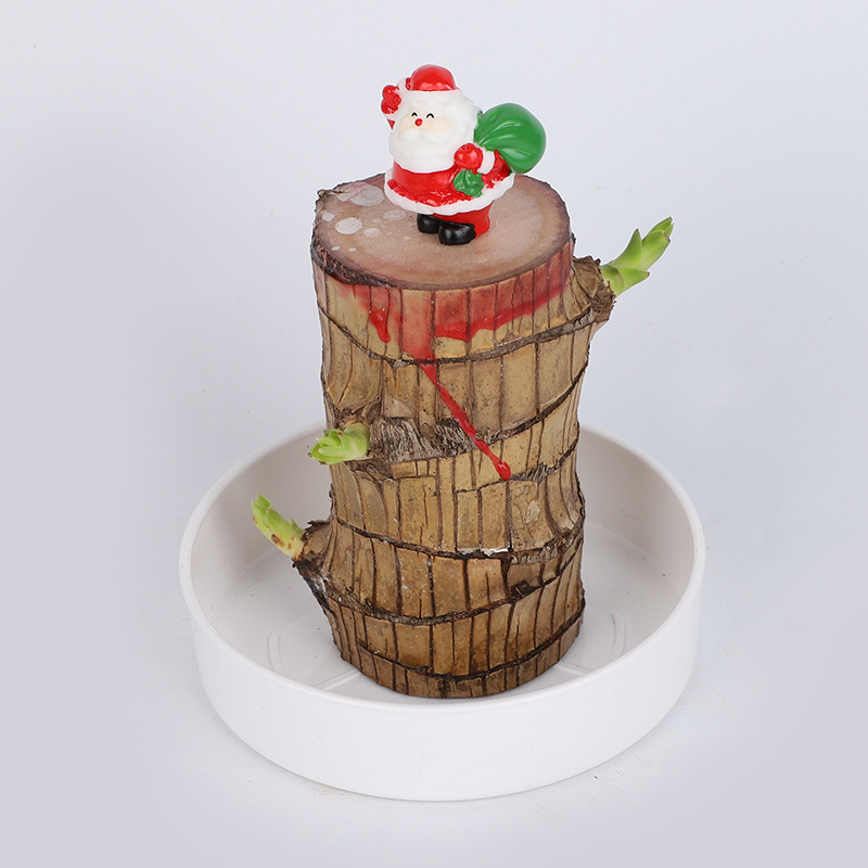 巴西木水培植物幸运木桌面绿植盆