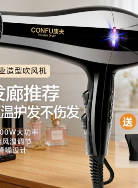 康夫电吹风机发廊发型师专用2200