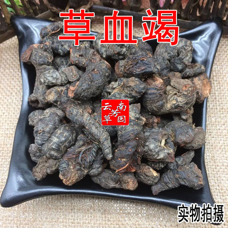 云南野生中药材草血竭 老腰弓 地蜂子 一口血 拳参 500g包邮