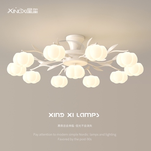 客厅隐形风扇灯2025新款餐厅吸顶全屋套餐吊扇灯一体式静音大风力