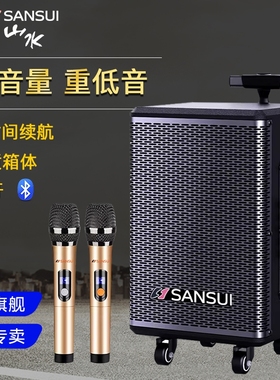 山水TE06户外广场舞拉杆音响大音牙音箱量大功率重低音k歌唱歌蓝