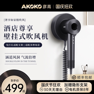 AKOKO彦高电吹风机高速家用负离发速干大功率酒店版专用风筒子护