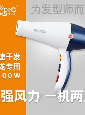 发之鼎Q8电吹风机家用理发店发廊美发店专用静音电吹风筒大功率