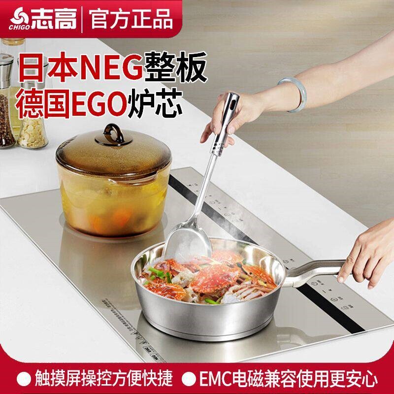 Chigo/志高NL2521双灶嵌入家用