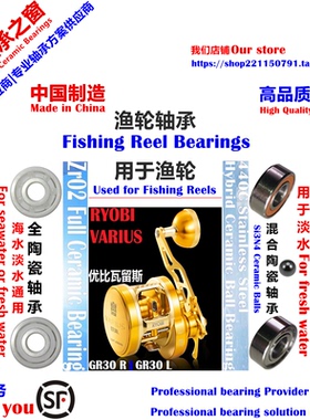 利优比瓦留斯GR30鼓轮远投陶瓷轴承|RYOBI VARIUS GR30 Bearing