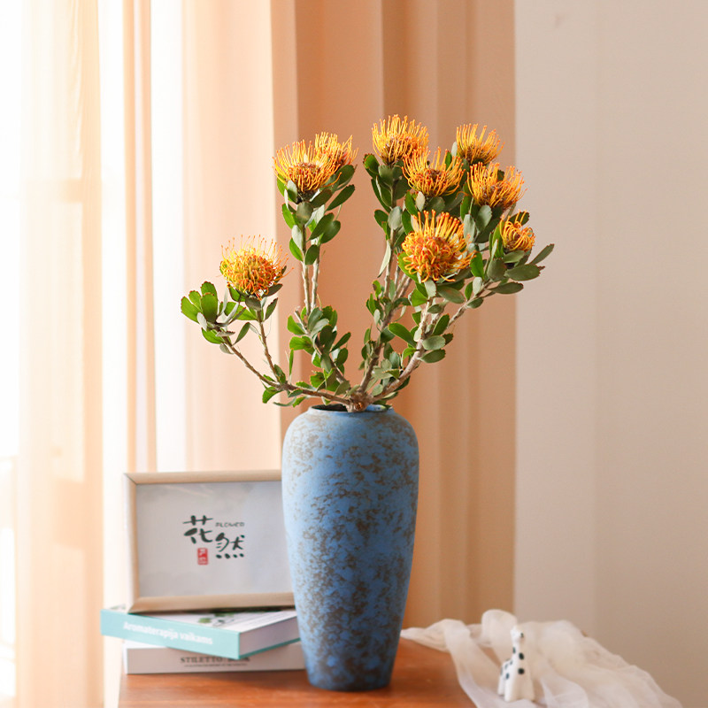 多头针垫花鲜花云南直发水培鲜切花插花南非进口花材橘色针包花