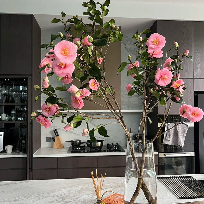 山茶花云南基地直发鲜切花办公室室内粉色水养插花节日礼物顺丰,鲜花速递/花卉仿真/绿植园艺,花材,淘宝优惠券,粉丝福利购,淘宝优惠卷