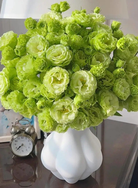 黄色洋桔梗鲜花云南直发家用客厅水培花束真花鲜切花重瓣桔梗花