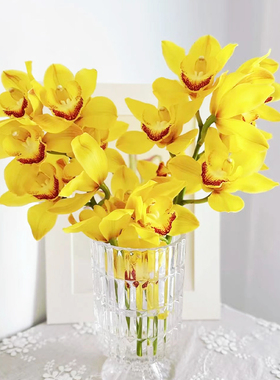 黄色大花蕙兰鲜切花兰花大花惠兰鲜花云南直发黄金岁月水培插花