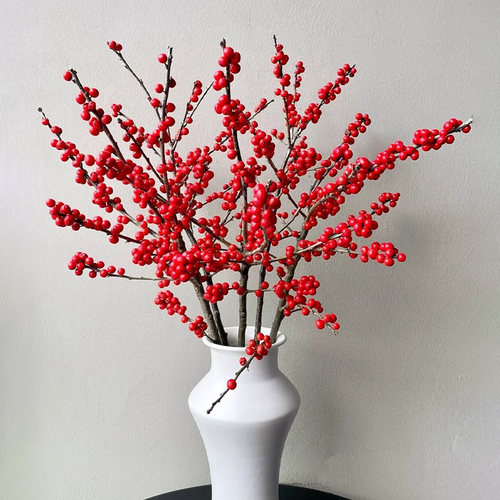 北美冬青红果真花鲜花发财果鲜切