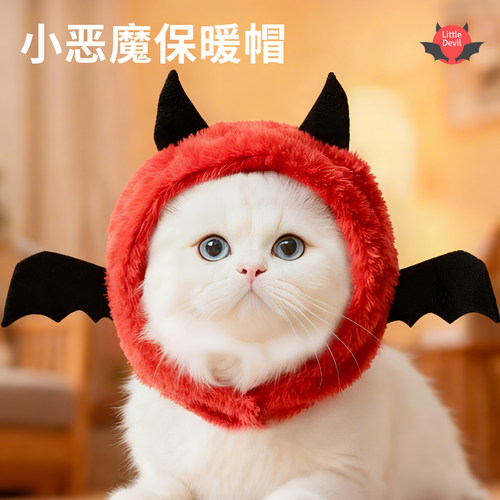 宠情小猫咪冬天戴帽子宠物专用头饰头套万圣节搞笑可爱天使恶魔款