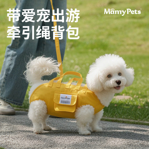 狗狗外出便携牵引绳斜跨猫包小型犬多功能单肩手提轻便透气宠物包