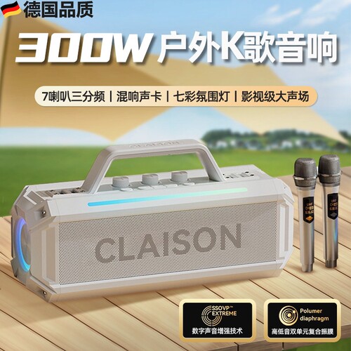 德国家庭ktv音响套装k歌麦克风一