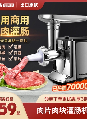 Tenfly添美家家用商用电动绞肉机