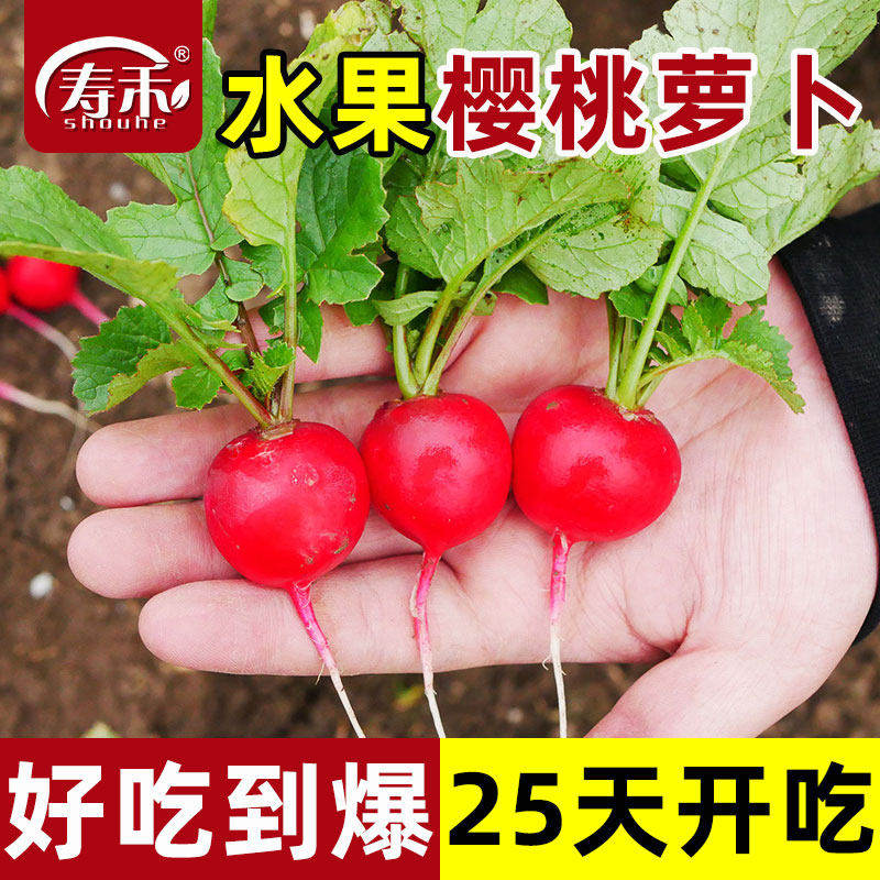 樱桃萝卜种子种籽水果大全高产阳台四季盆栽菜种孑红菜籽蔬菜子,鲜花速递/花卉仿真/绿植园艺,家庭园艺种子,淘宝优惠券,粉丝福利购,淘宝优惠卷