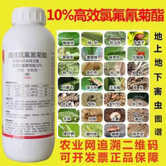10%高效氯氟氰菊酯杀虫剂果树蔬菜蚜虫钻心虫菜青虫农药正品菊脂