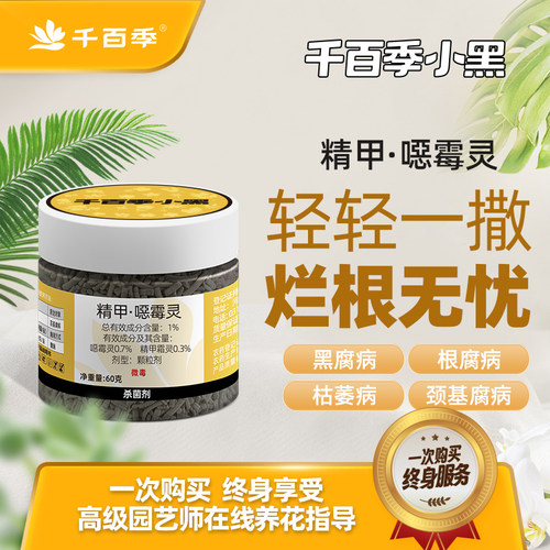 杀菌剂千百季小黑精甲恶霉灵