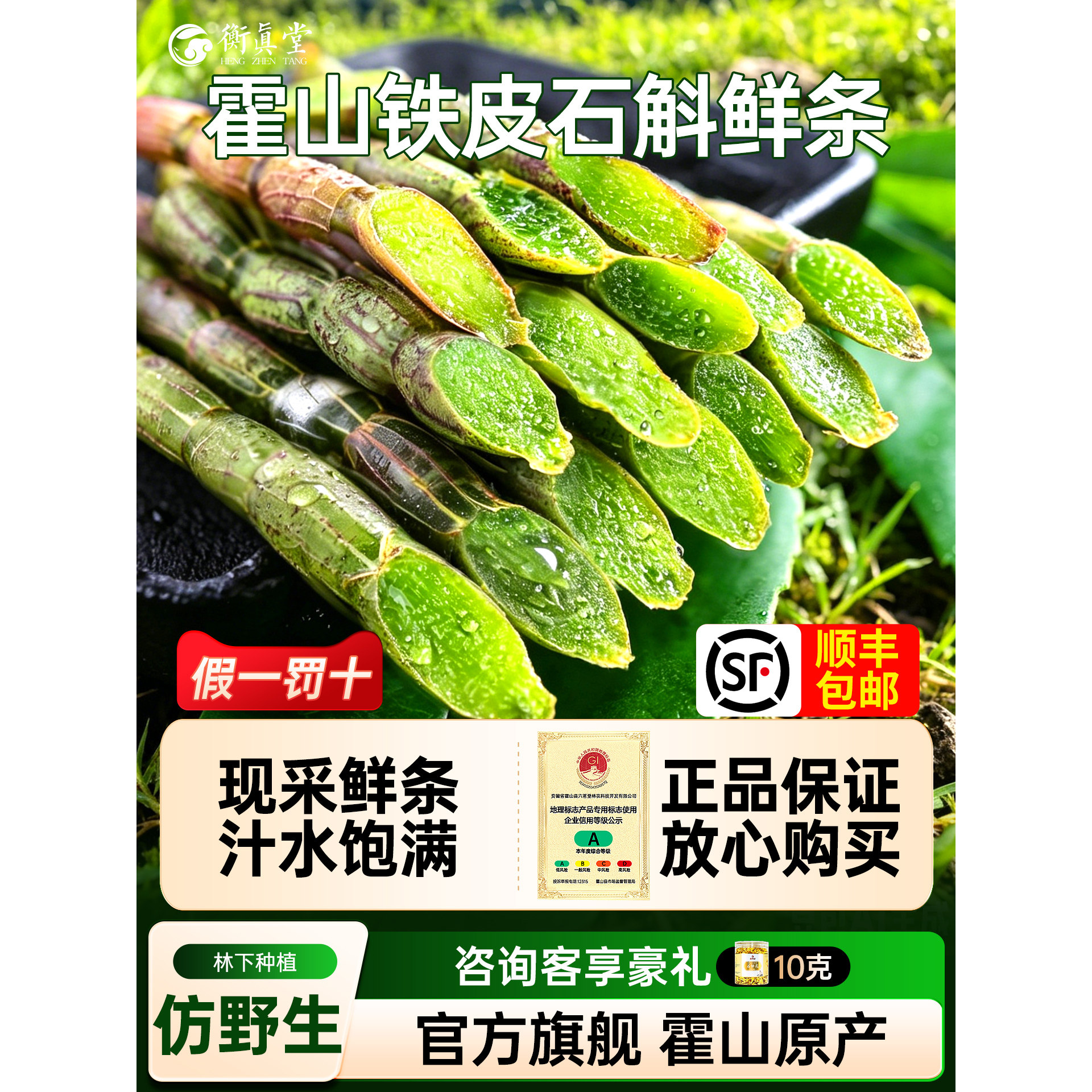 新鲜霍山铁皮石斛鲜条500g官方正品旗舰店枫斗干条
