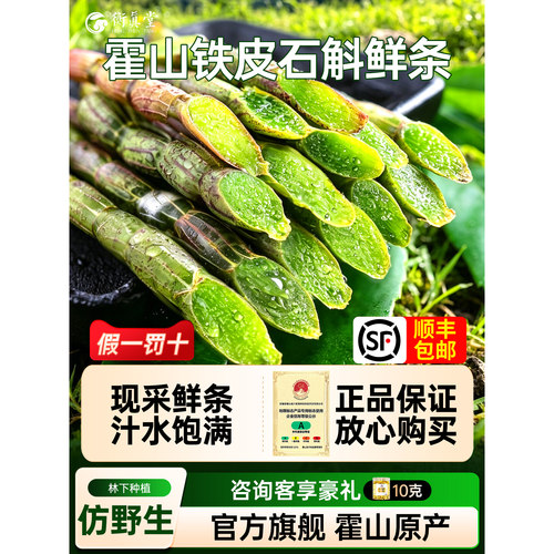 衡真堂正品霍山铁皮石斛鲜条500g
