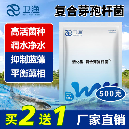复合芽孢杆菌水产养殖调水
