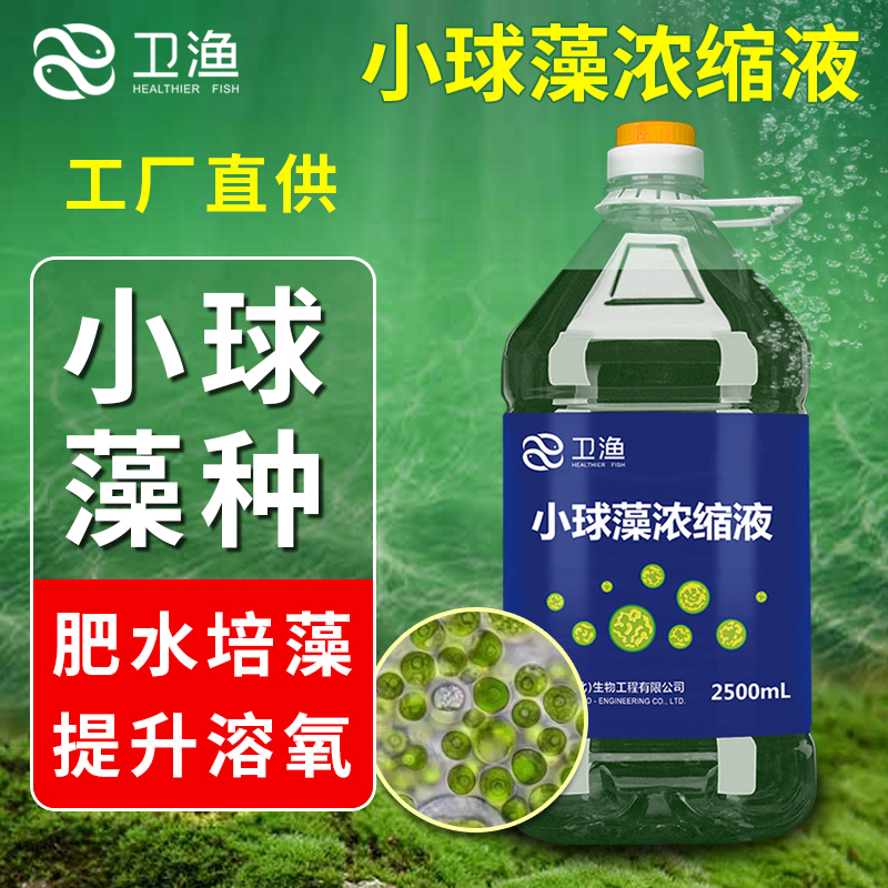 小球藻藻种浓缩液肥水营养培藻