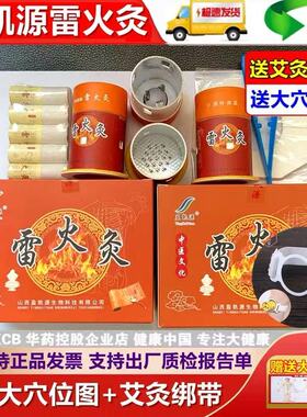 盈凯源雷火灸B002家用艾灸装置中药艾柱控温调节灸筒送艾灸绑带