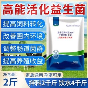 弘畜高能活化益生菌兽用猪牛羊鸡鸭鹅健胃促长减少氨气调理肠道