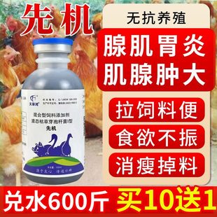 禽用鸡鸭鹅嗉囊胀气素囊炎腺肌胃炎饲料便吐水干吃不长养鸡专用