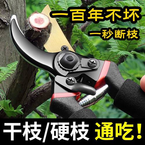 德国精工艺园剪刀剪树枝专用剪刀修枝剪园林果树修花家用sk5剪子