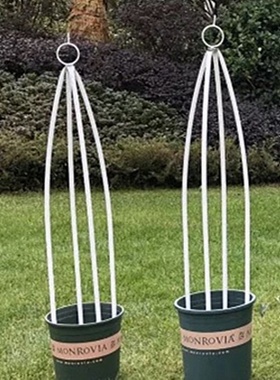 Iron Rose China rose column rack clematis o lattice climbi