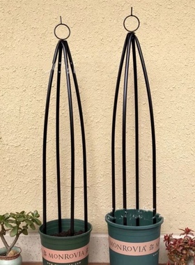 Iron Rose China rose column rack clematis o lattice climbi