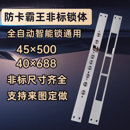 超长尺寸大霸王特殊不锈钢导向片防卡智能指纹密码锁通用型锁体
