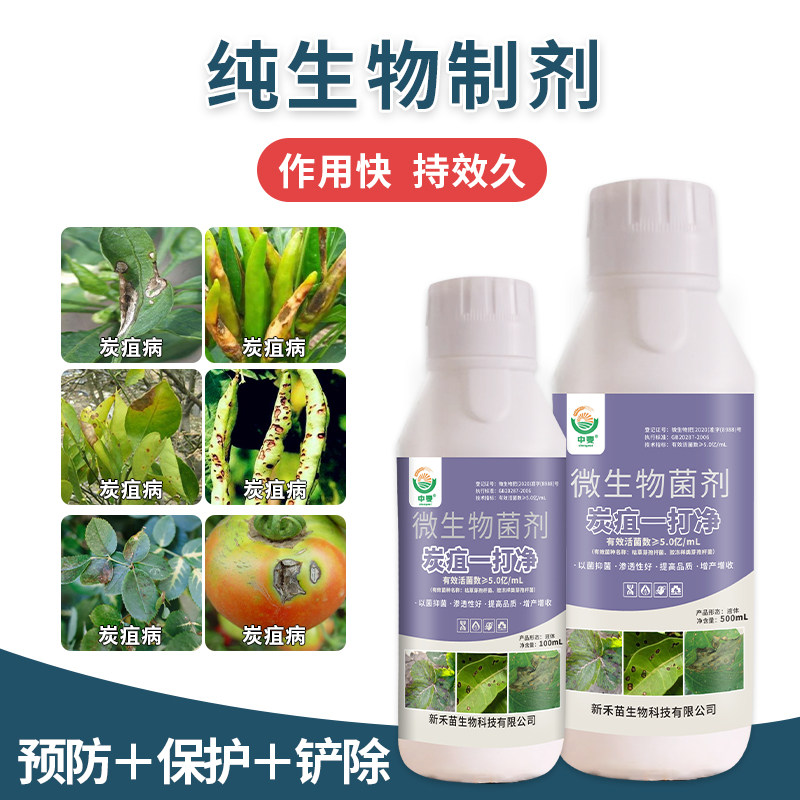 炭疽病一打净杀菌制剂黄瓜番茄草莓莴笋炭疽病苹果辣椒炭疽病正品