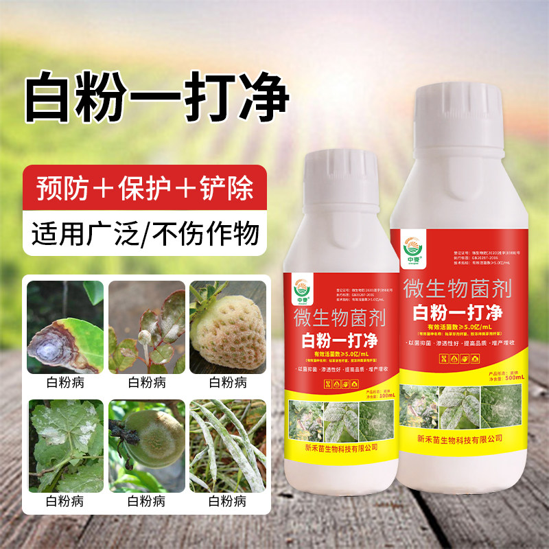 白粉病一打净专用杀菌剂番茄辣椒葡萄草莓柑橘苹果芒果瓜果白粉病