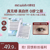 PLUS燕尾纱无梗自然仿真分段式 Mr.wish 心愿先生免胶款 假睫毛