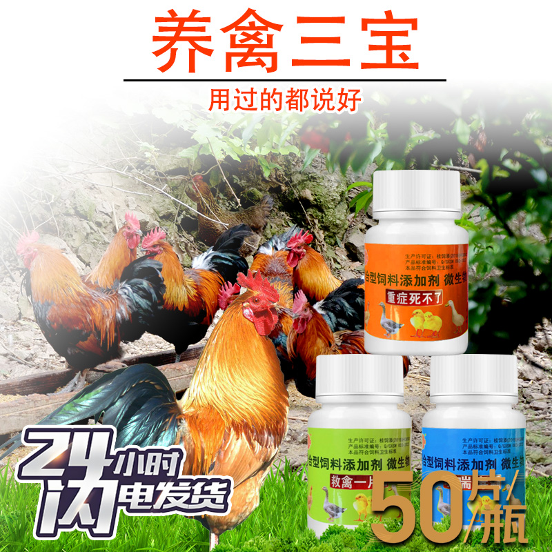 兽用养禽养鸡三宝鸡用重症死不了