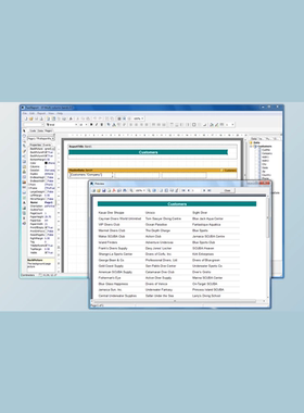FastReport Activex v4.9.237