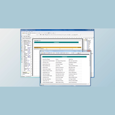 FastReport Activex v4.9.237