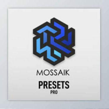 Ayush Aggarwal - Mossaik Presets Pro v2.3.30 (Win)