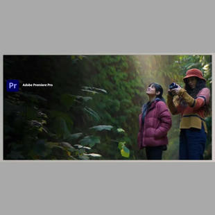 2025 Pro Premiere Win Mac v25.2.3 Adobe