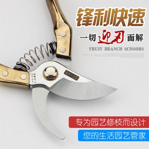 日本进口SK5钢修枝剪园林家用工具果树果园剪刀园艺花剪子粗枝剪