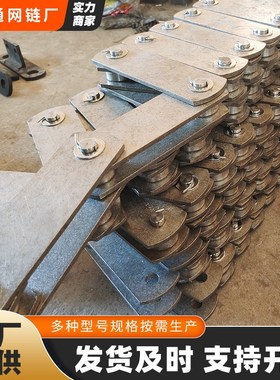 不锈钢P160大节距输送链条平顶传动链提升机输送链C232AL滚子链条