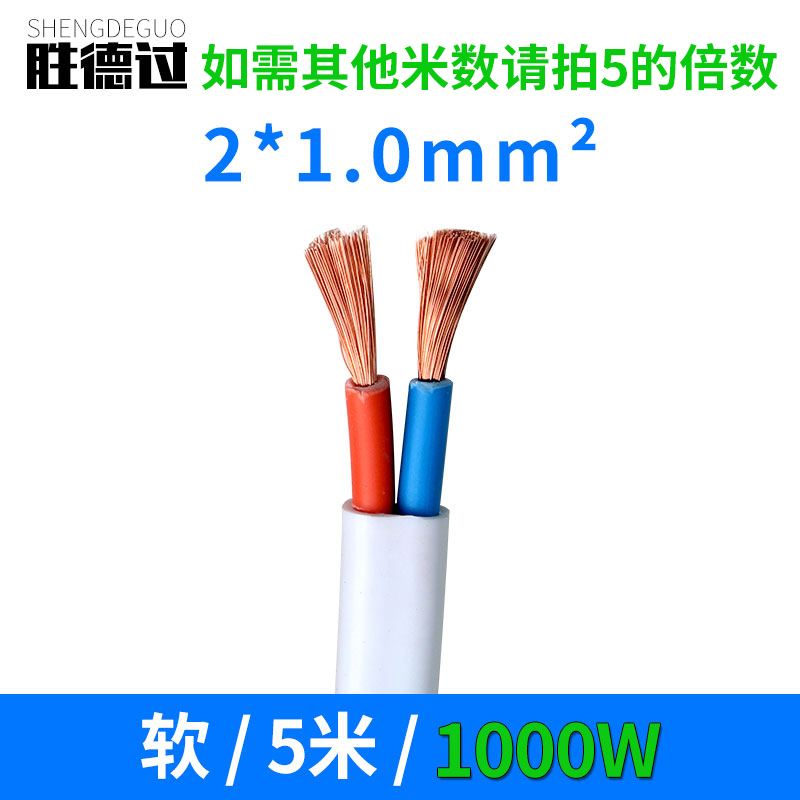 电线软线户外纯铜电缆线家用2芯 A2.5 4 6平方铜芯护套线插头带线