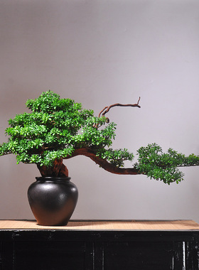中式迎客松摆件家居玄关花瓶罗汉松盆景装饰大型仿真禅意室内盆景